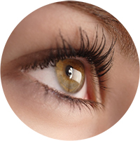 AMD Treatment | Dry Eye Treatment Arlington Heights IL
